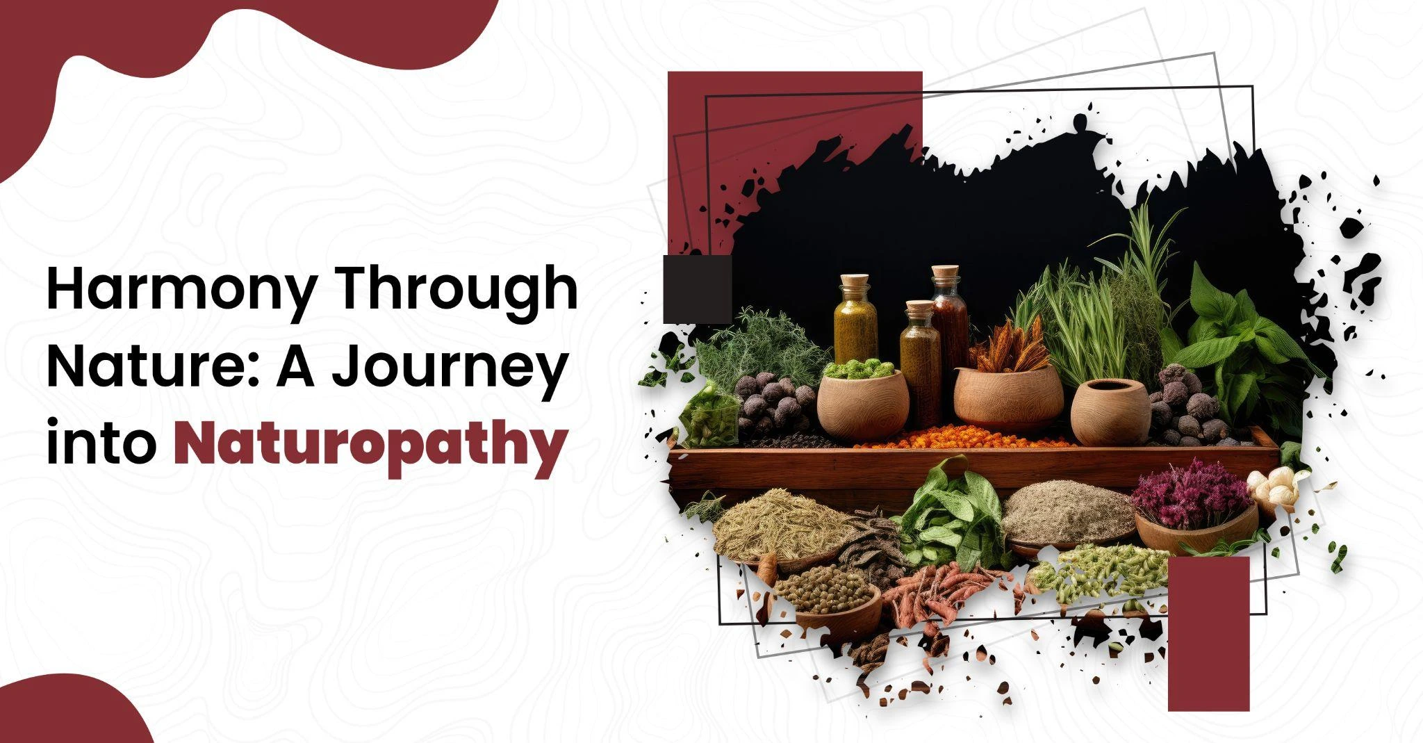naturopathy, naturopathy centre near me