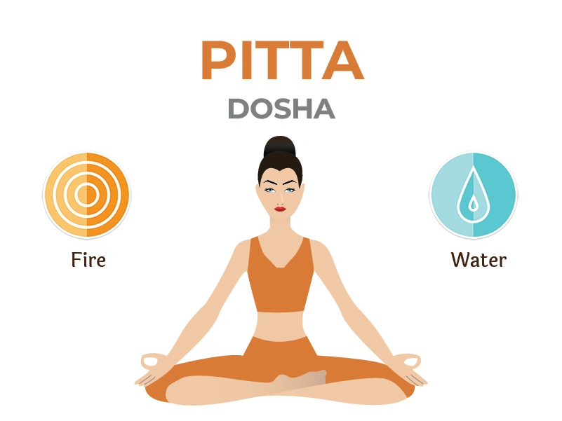 vata pitta kapha